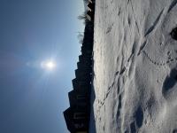 IMG_7232 (768x1024).jpg